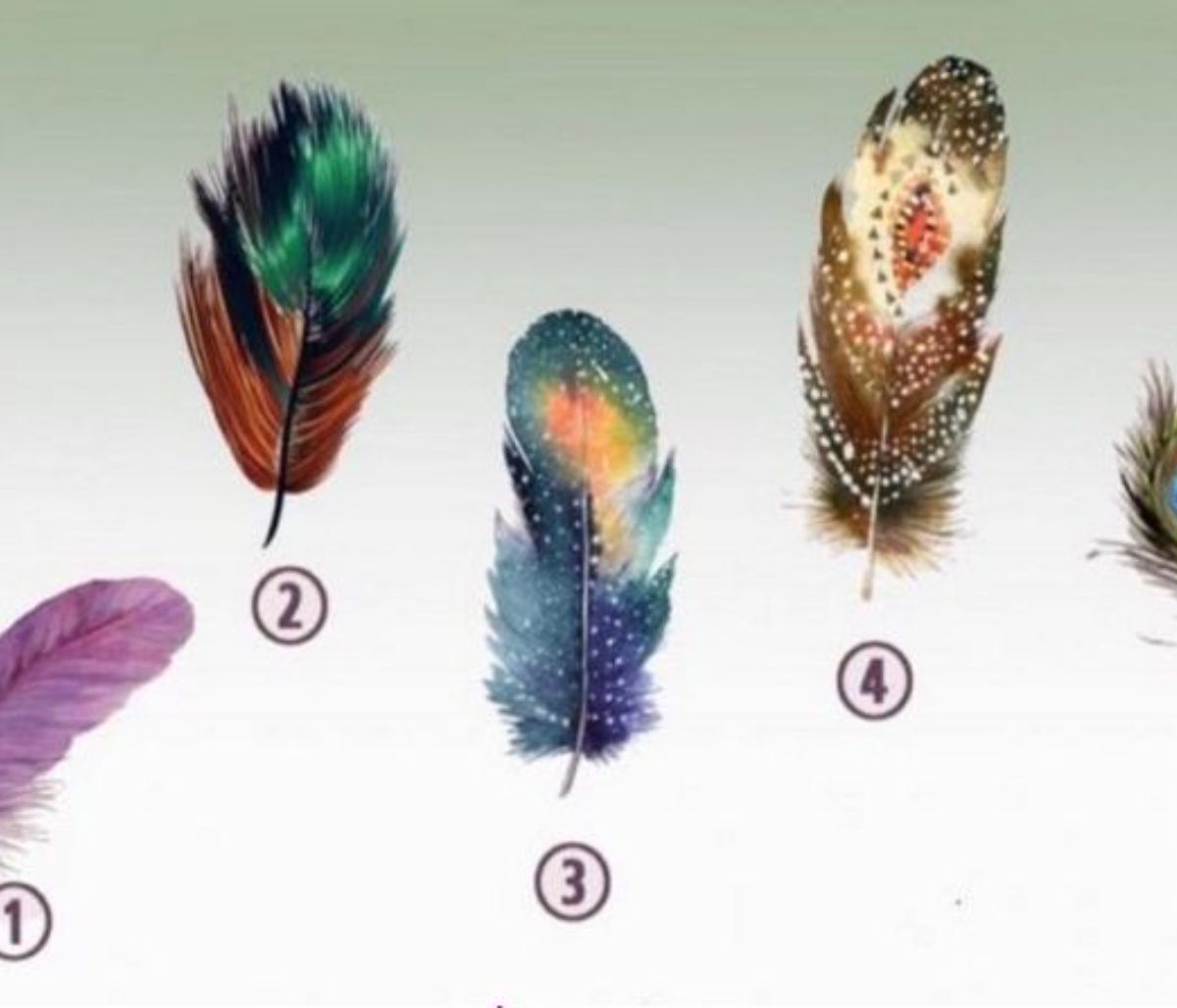 Διάλεξε 1 από τα 5 φτερά και ανακάλυψε την κρυμμένη σου δύναμη