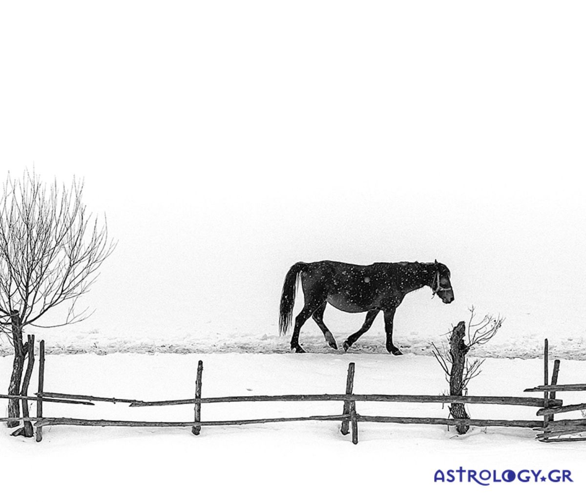 Διάβασε ΔΩΡΕΑΝ την προσωπική σου πρόβλεψη, για σήμερα 19/01/2021