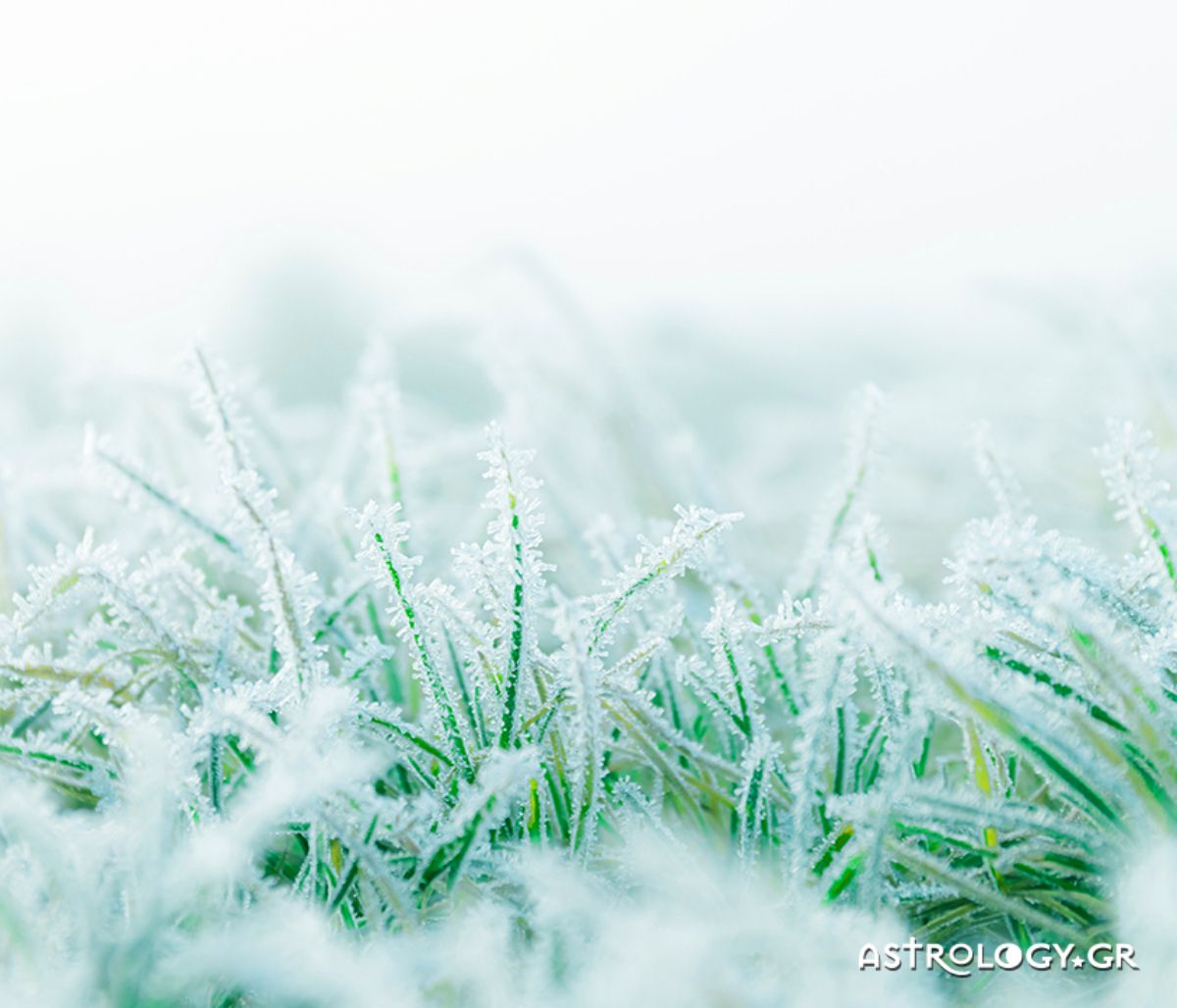 Διάβασε ΔΩΡΕΑΝ την προσωπική σου πρόβλεψη, για σήμερα 20/01/2021