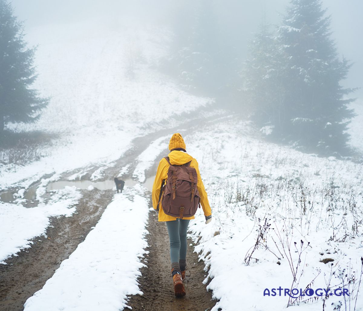 Ημερήσιες Προβλέψεις για όλα τα Ζώδια 29/01