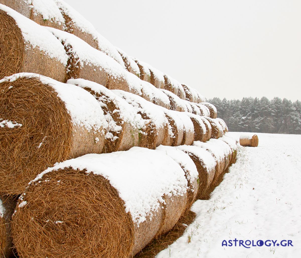 Διάβασε ΔΩΡΕΑΝ την προσωπική σου πρόβλεψη, για σήμερα 02/02/2021