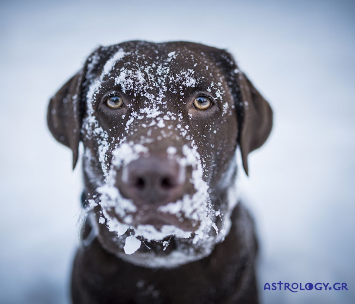 Διάβασε ΔΩΡΕΑΝ την προσωπική σου πρόβλεψη, για σήμερα 05/02/2021