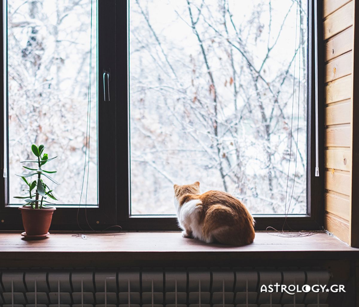 Ημερήσιες Προβλέψεις για όλα τα Ζώδια 12/02