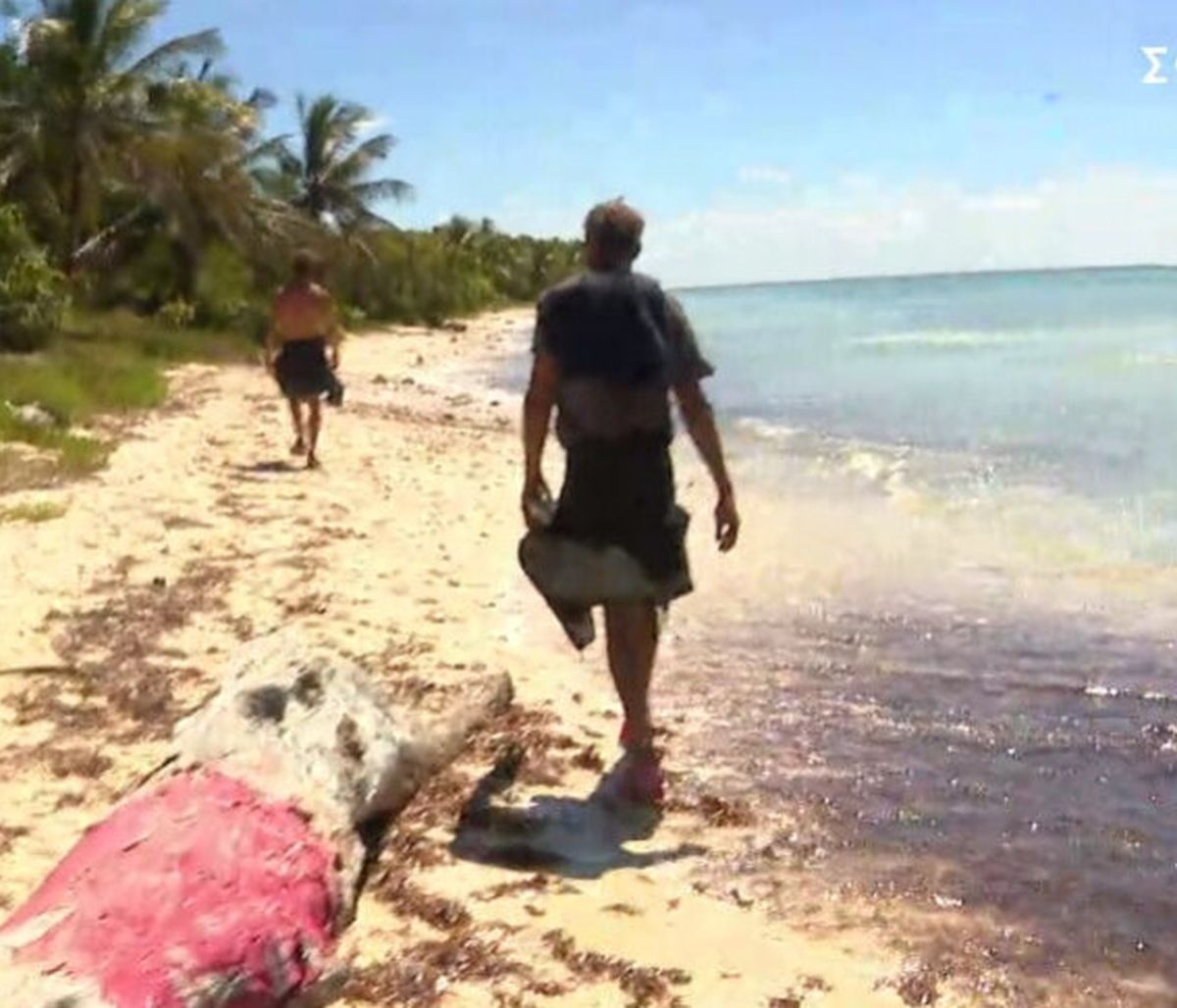 Survivor: Όλη η αλήθεια για τους άφαντους Παππά –Σταμούλη! Ο άγριος καβγάς και η κομμένη σκηνή!