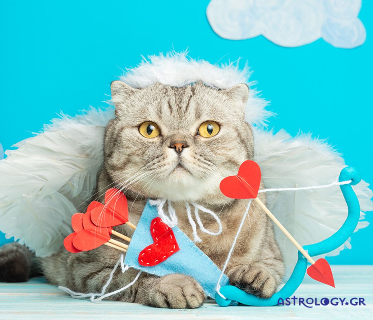 Διάβασε ΔΩΡΕΑΝ την προσωπική σου πρόβλεψη, για σήμερα 14/02/2021