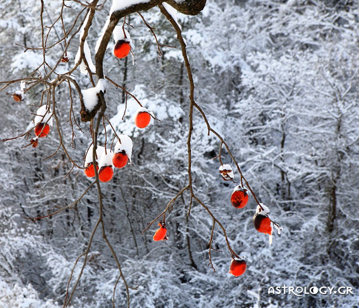 Διάβασε ΔΩΡΕΑΝ την προσωπική σου πρόβλεψη, για σήμερα 15/02/2021