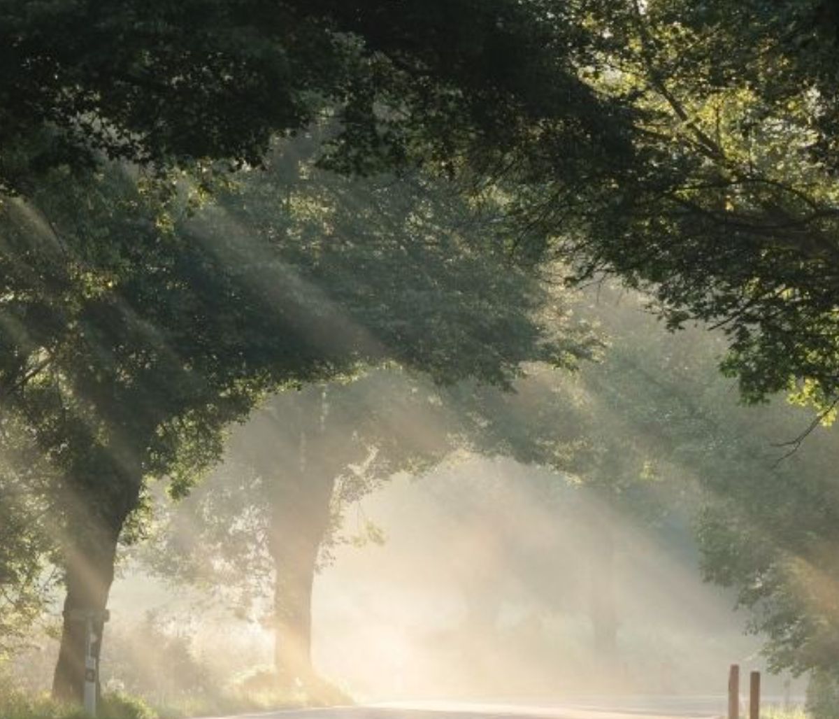 Σήμερα 16/03: Ευκαιρία να ξεκαθαρίσεις το τοπίο