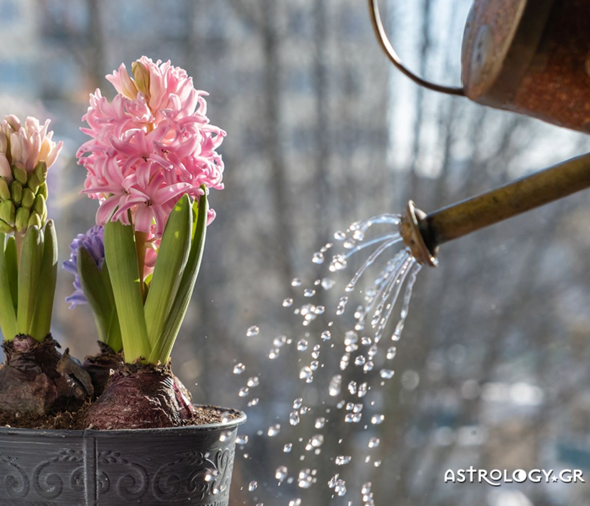 Ημερήσιες Προβλέψεις για όλα τα Ζώδια 10/03