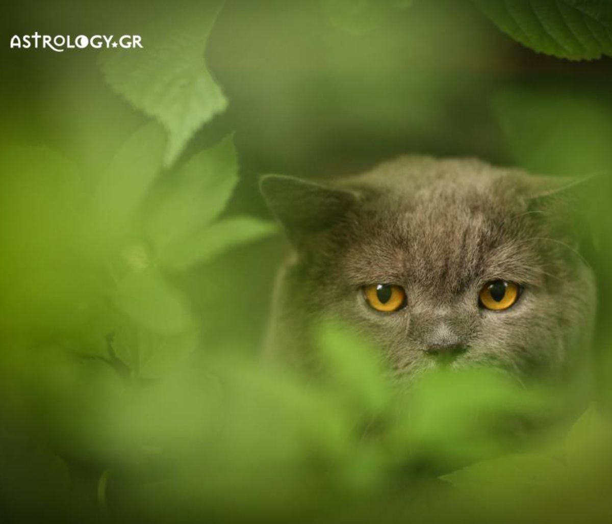 Με αυτούς τους τρόπους το ένστικτό μας προσπαθεί να μας προφυλάξει ή να μας ενθαρρύνει!