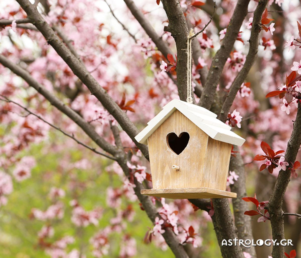 Προβλέψεις για τα αισθηματικά του ζωδίου σου, σήμερα 12/03