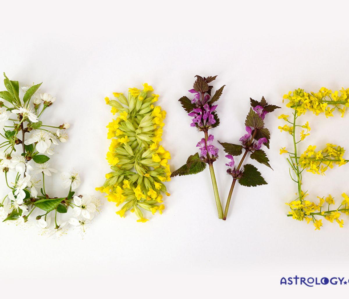 Προβλέψεις για τα αισθηματικά του ζωδίου σου, σήμερα 20/03