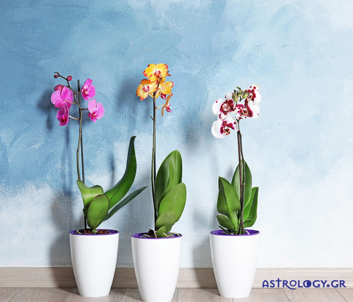 Ημερήσιες Προβλέψεις για όλα τα Ζώδια 25/03