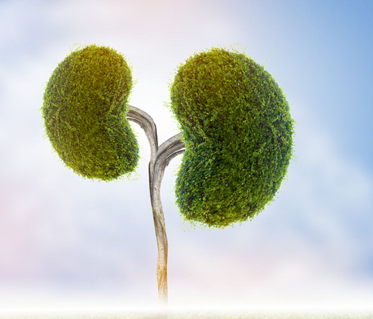 Πέτρες στα νεφρά: Πώς θα αποφύγετε τον σχηματισμό τους (εικόνες)