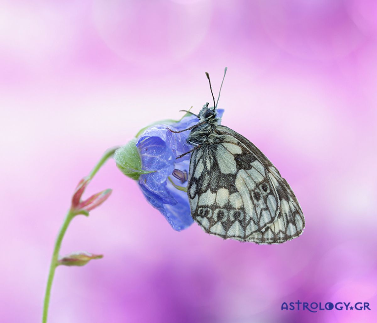 Διάβασε ΔΩΡΕΑΝ την προσωπική σου πρόβλεψη, για σήμερα 06/04/2021