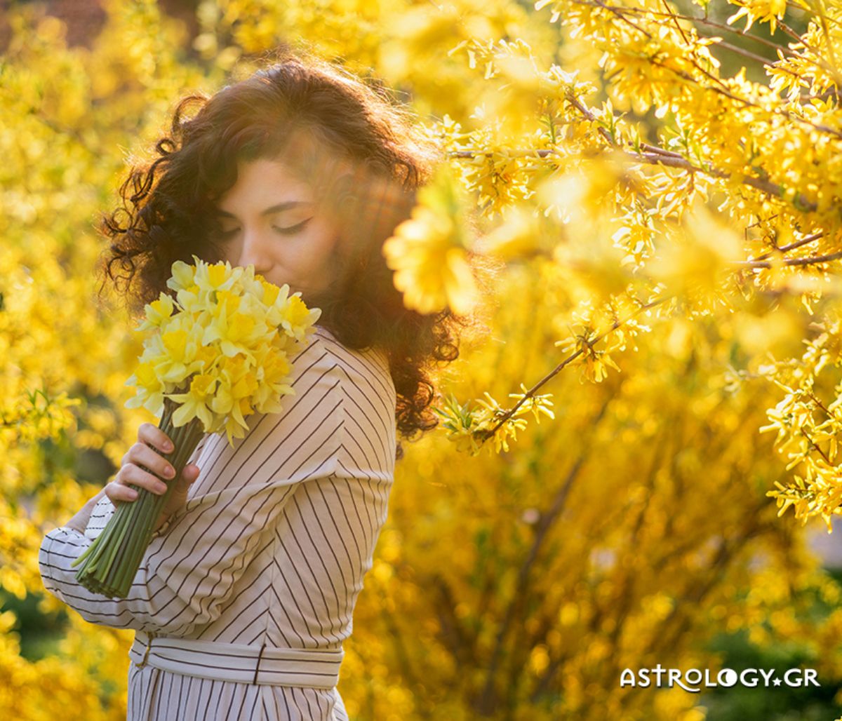 Ημερήσιες Προβλέψεις για όλα τα Ζώδια 12/04