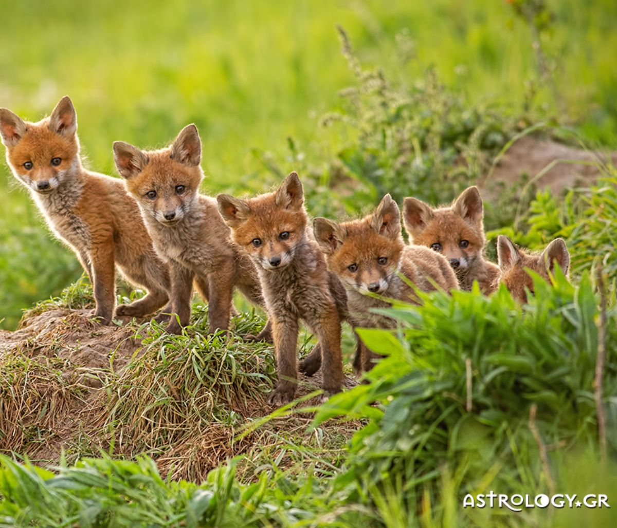 Διάβασε ΔΩΡΕΑΝ την προσωπική σου πρόβλεψη, για σήμερα 12/04/2021