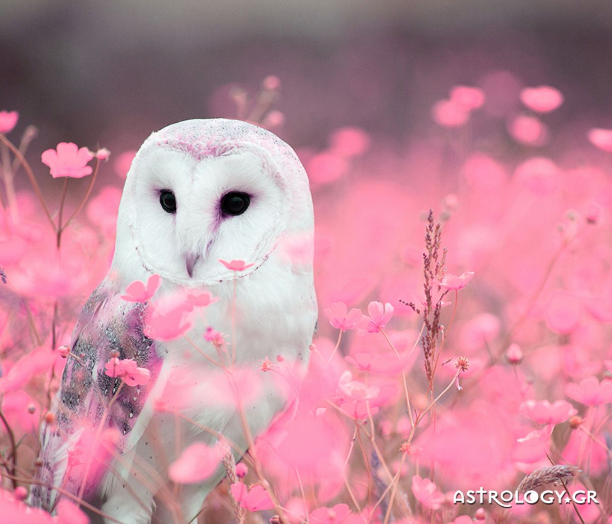 Διάβασε ΔΩΡΕΑΝ την προσωπική σου πρόβλεψη, για σήμερα 16/04/2021