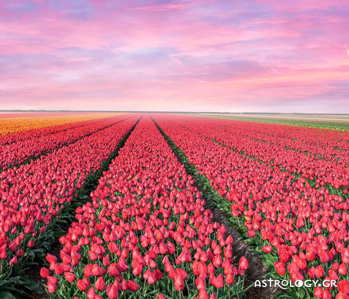 Διάβασε ΔΩΡΕΑΝ την προσωπική σου πρόβλεψη, για σήμερα 21/04/2021