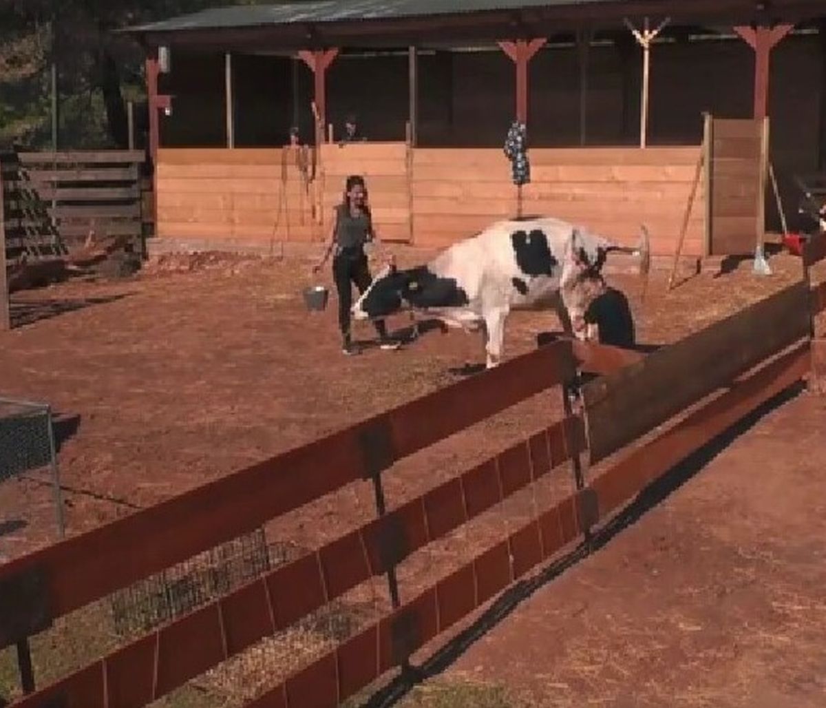 Η Φάρμα: Το εργατικό «ατύχημα» που προκάλεσε πολύ γέλιο και επικές ατάκες!