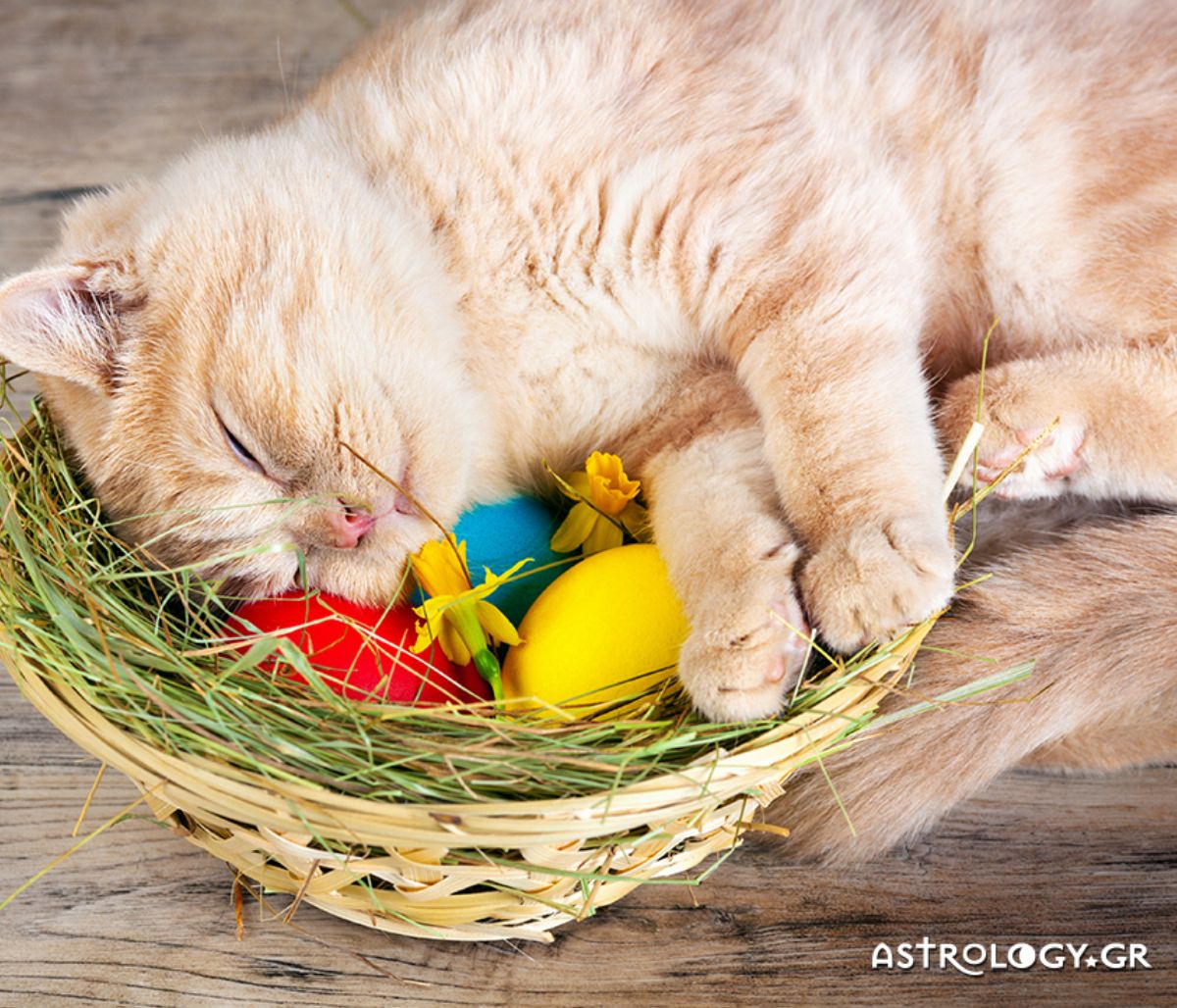Διάβασε ΔΩΡΕΑΝ την προσωπική σου πρόβλεψη, για σήμερα 29/04/2021