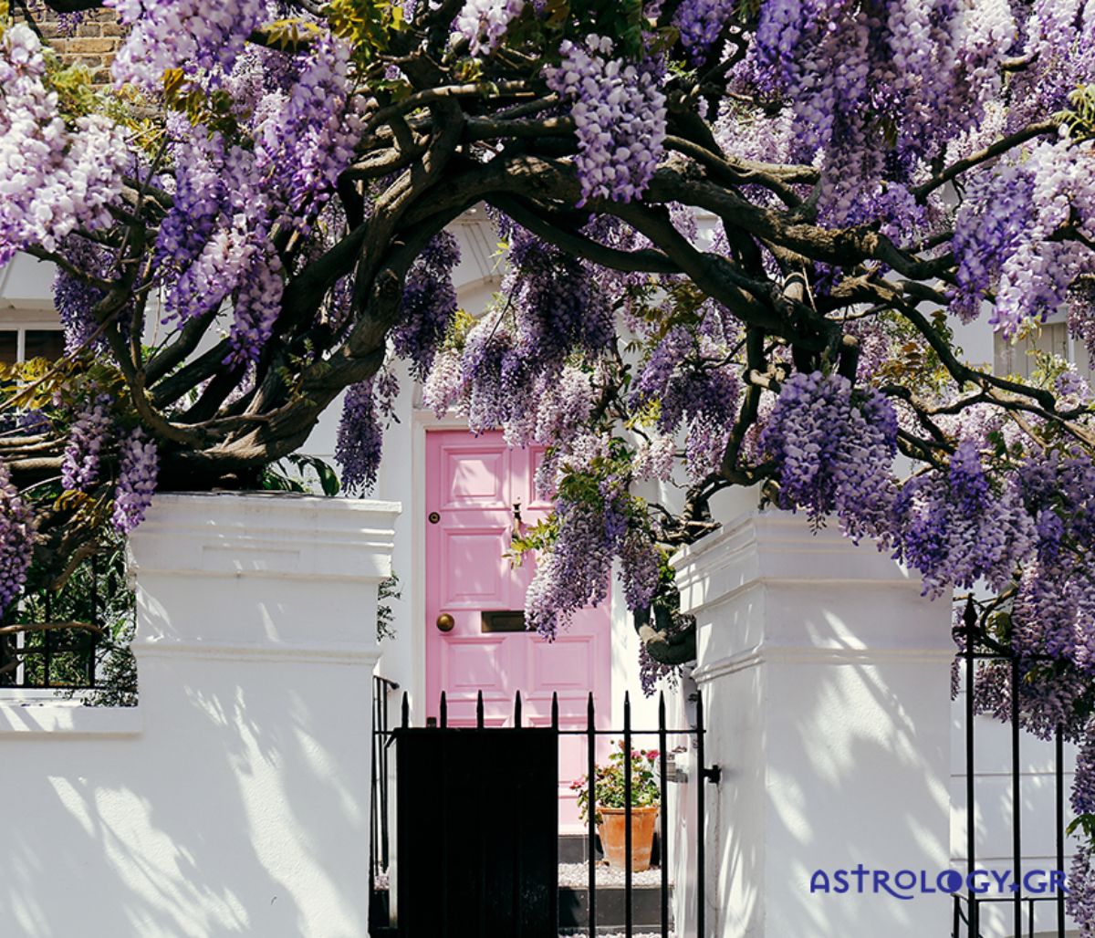 Ημερήσιες Προβλέψεις για όλα τα Ζώδια 13/05