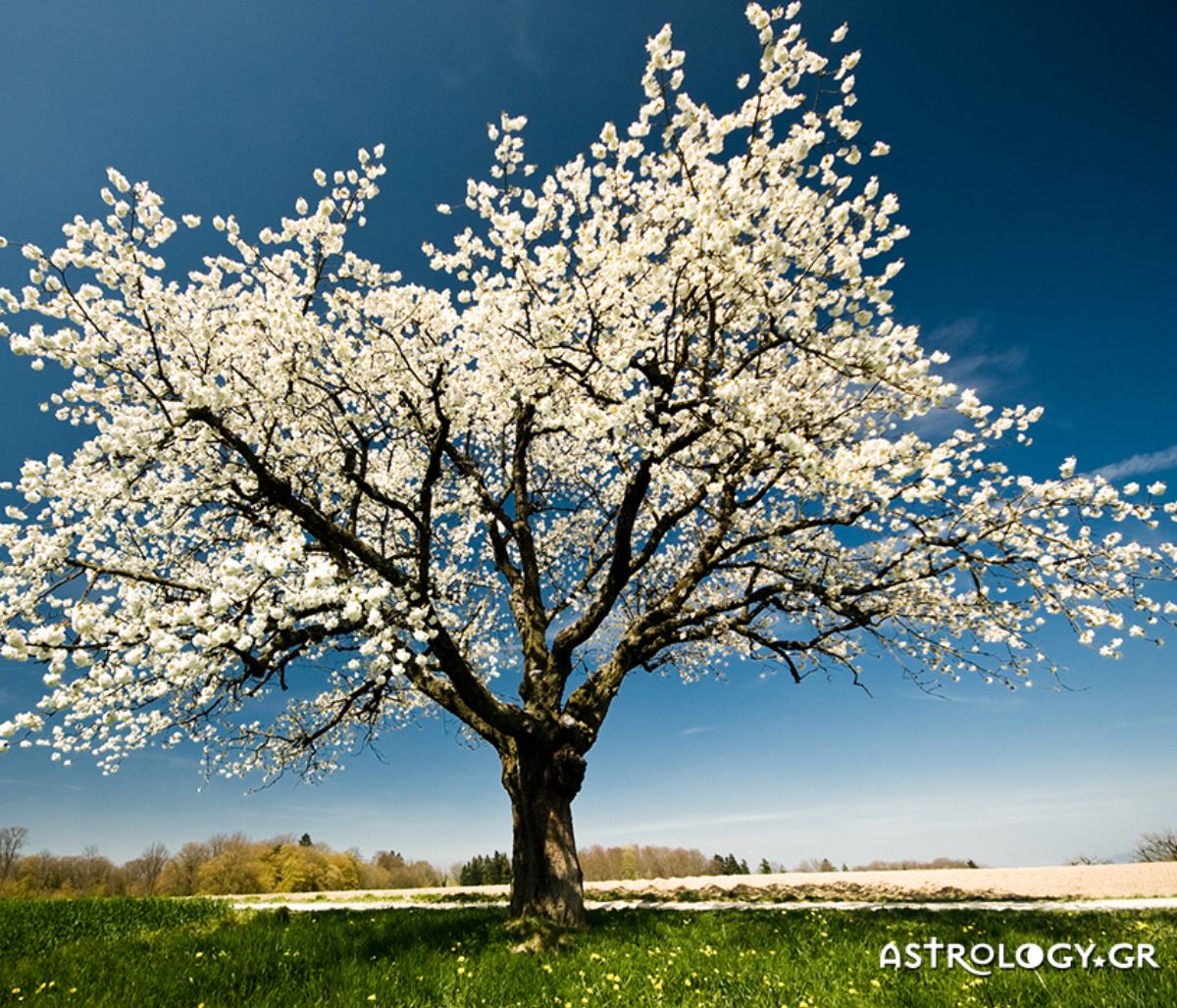 Διάβασε ΔΩΡΕΑΝ την προσωπική σου πρόβλεψη, για σήμερα 13/05/2021