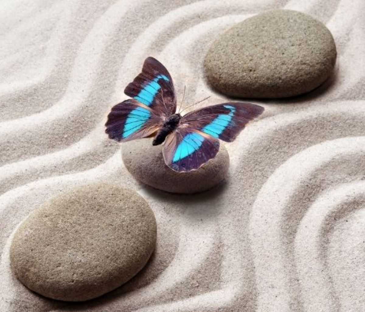 Σήμερα 23/05: Σε αρμονικό κλίμα