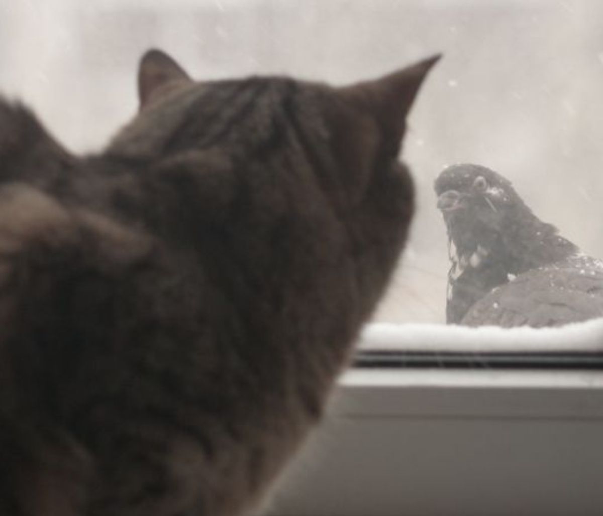 Σήμερα 24/05: Συνδυασμός ενστίκτου και ισχυρής θέλησης