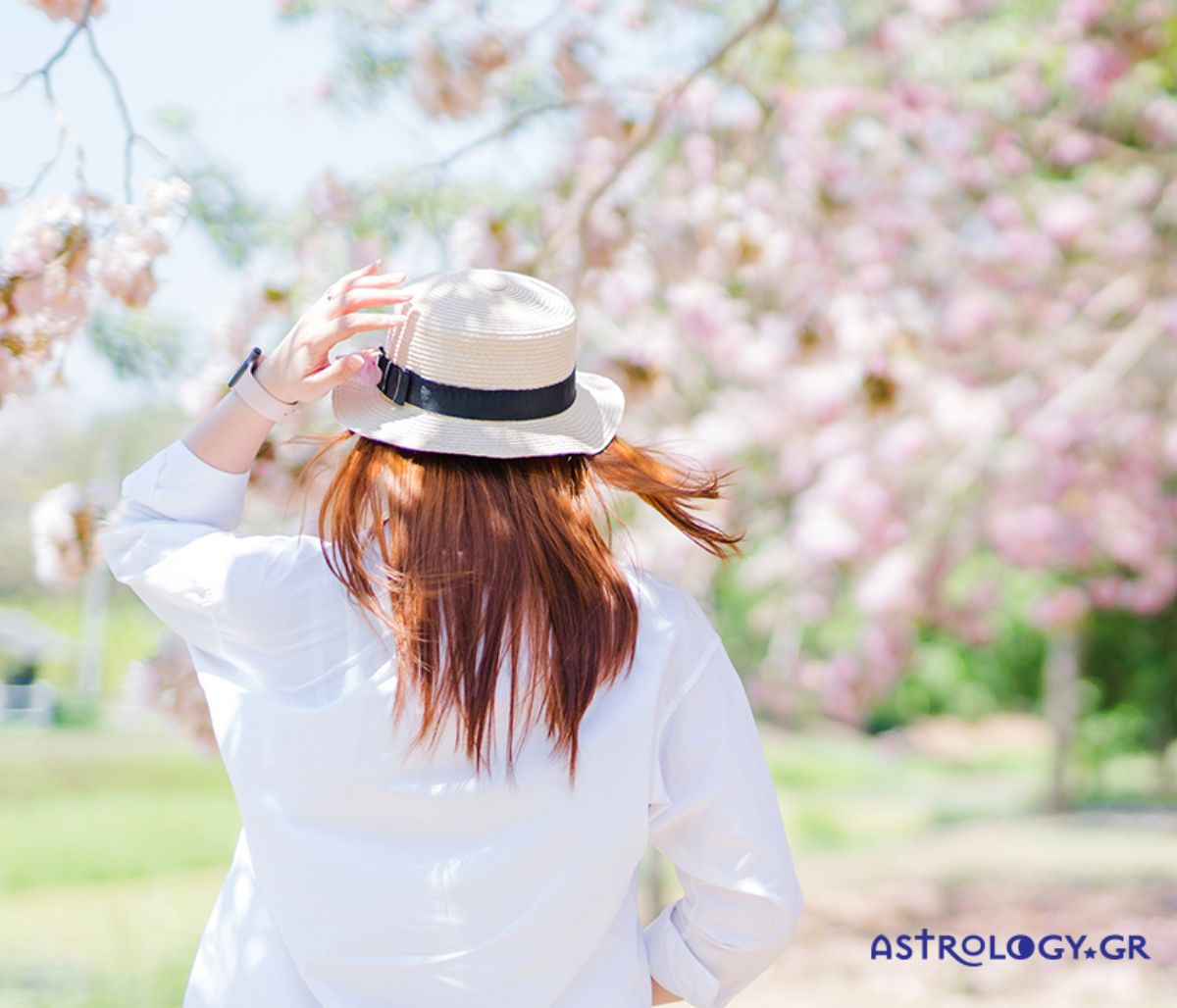 Ημερήσιες Προβλέψεις για όλα τα Ζώδια 19/05