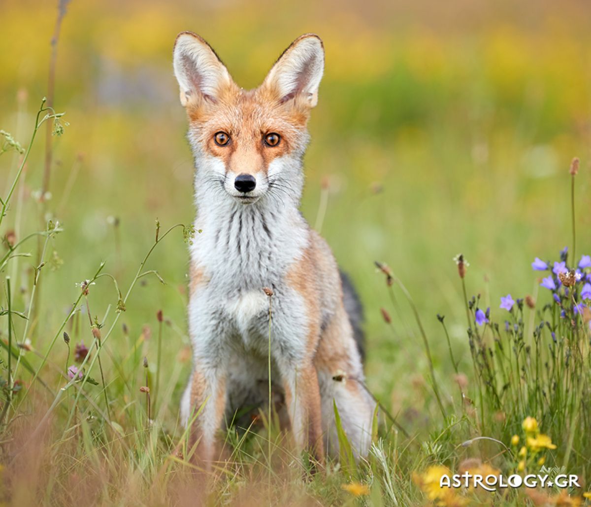 Διάβασε ΔΩΡΕΑΝ την προσωπική σου πρόβλεψη, για σήμερα 18/05/2021