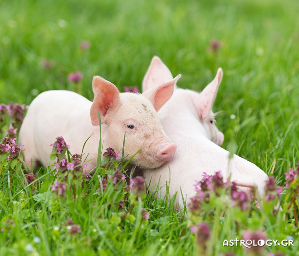 Διάβασε ΔΩΡΕΑΝ την προσωπική σου πρόβλεψη, για σήμερα 20/05/2021