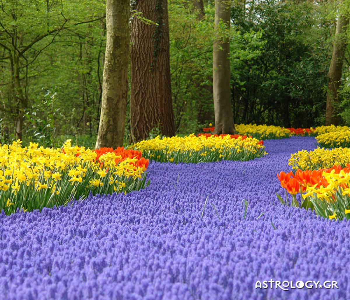 Διάβασε ΔΩΡΕΑΝ την προσωπική σου πρόβλεψη, για σήμερα 23/05/2021