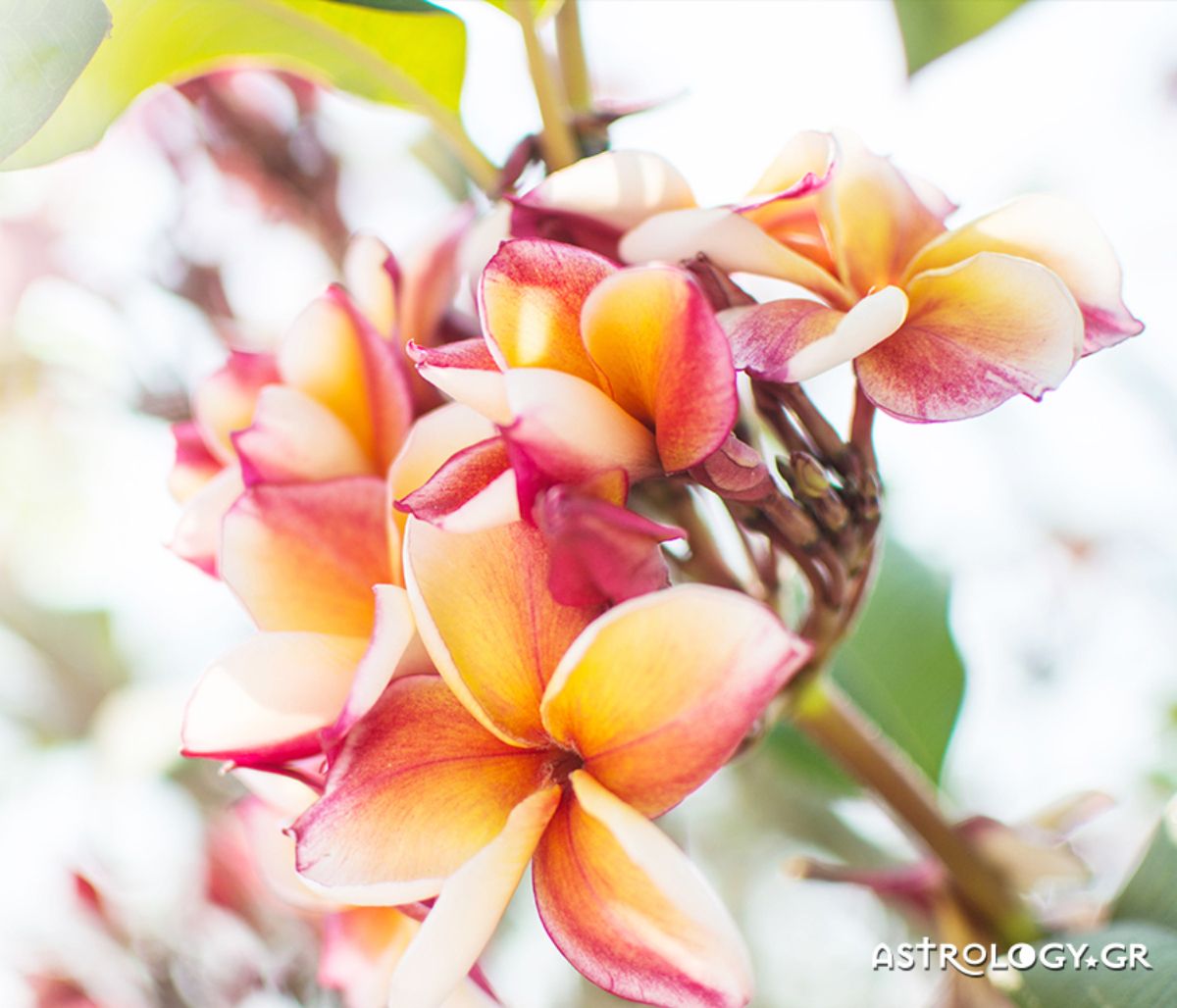 Διάβασε ΔΩΡΕΑΝ την προσωπική σου πρόβλεψη, για σήμερα 25/05/2021
