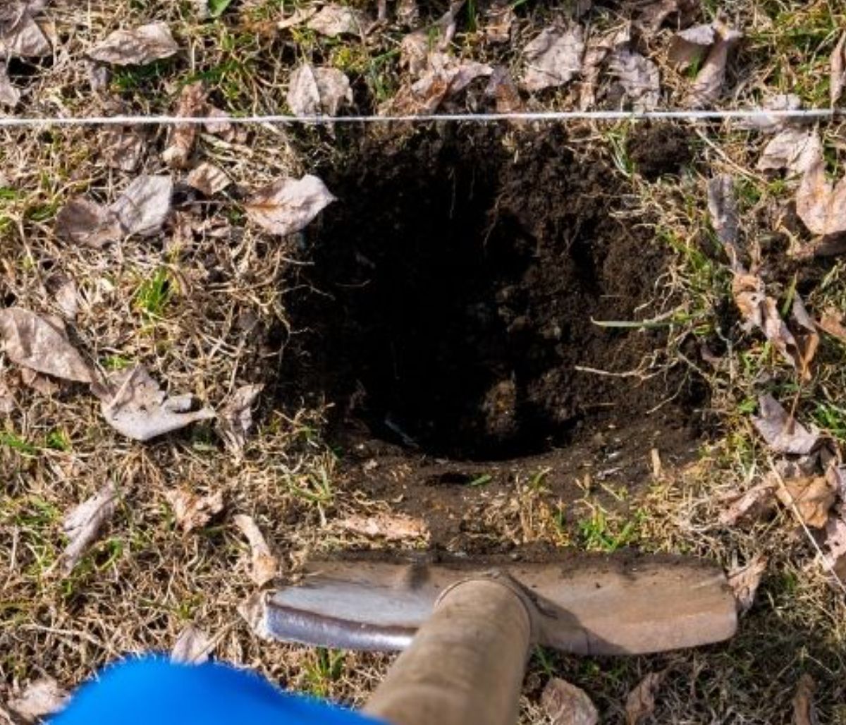 Σήμερα 05/06: Πρόσεξε, μην πέσεις στον λάκκο που έσκαψες...