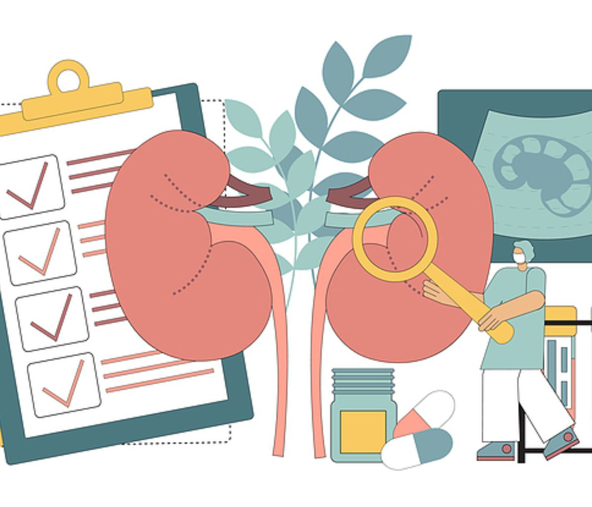 4 βότανα που ωφελούν τα νεφρά σας (video)