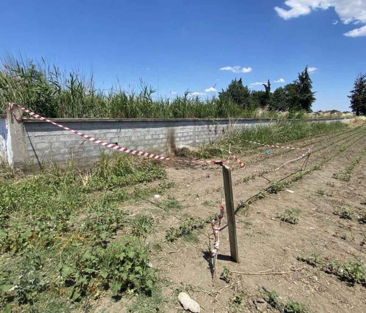 Έγκλημα στην Κατερίνη: Συνελήφθη ο δολοφόνος – Τι είπε στους αστυνομικούς για τον φόνο του 45χρονου