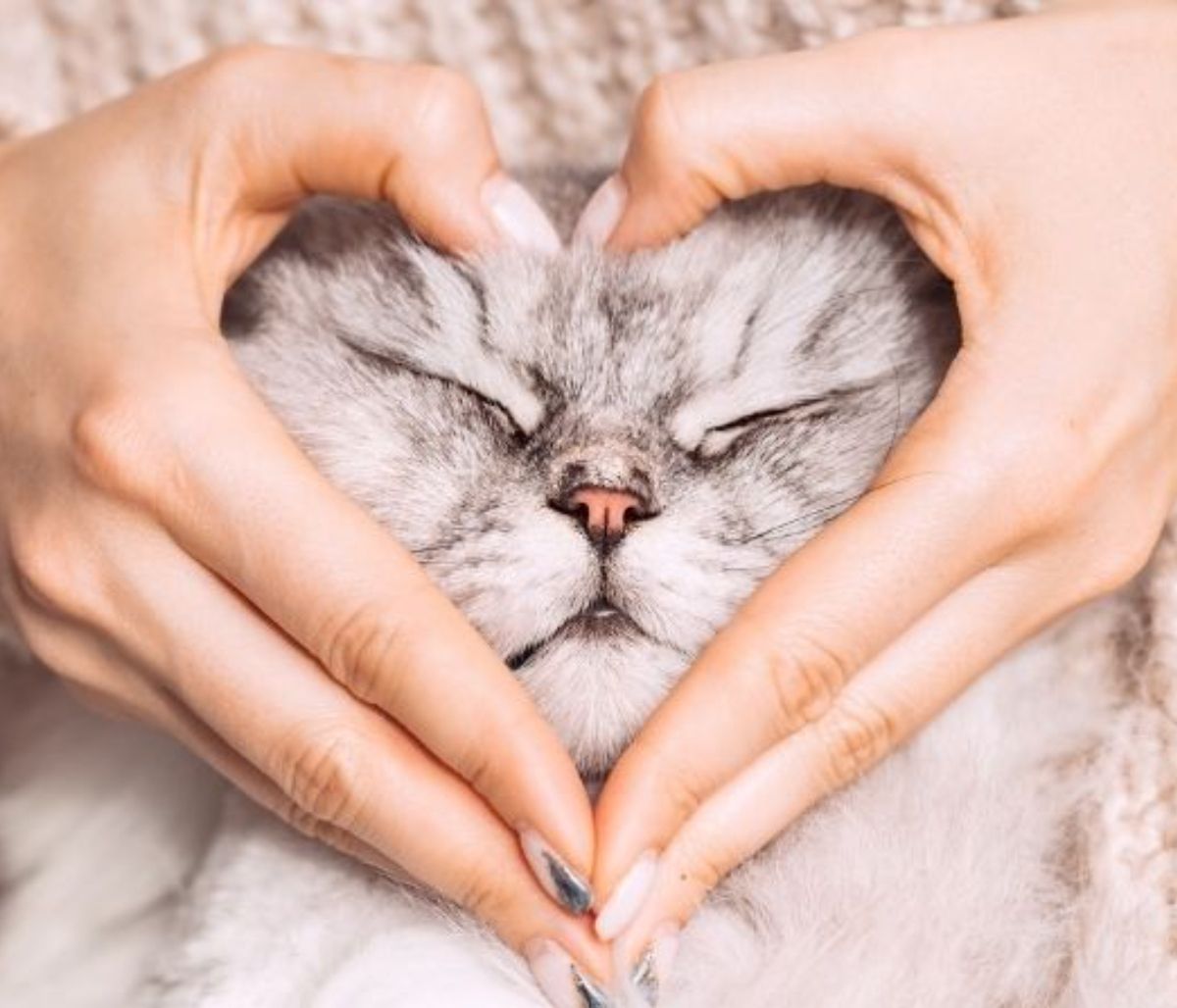 Δες ποιο κατοικίδιο θα σου ταίριαζε, ανάλογα με το ζώδιό σου!