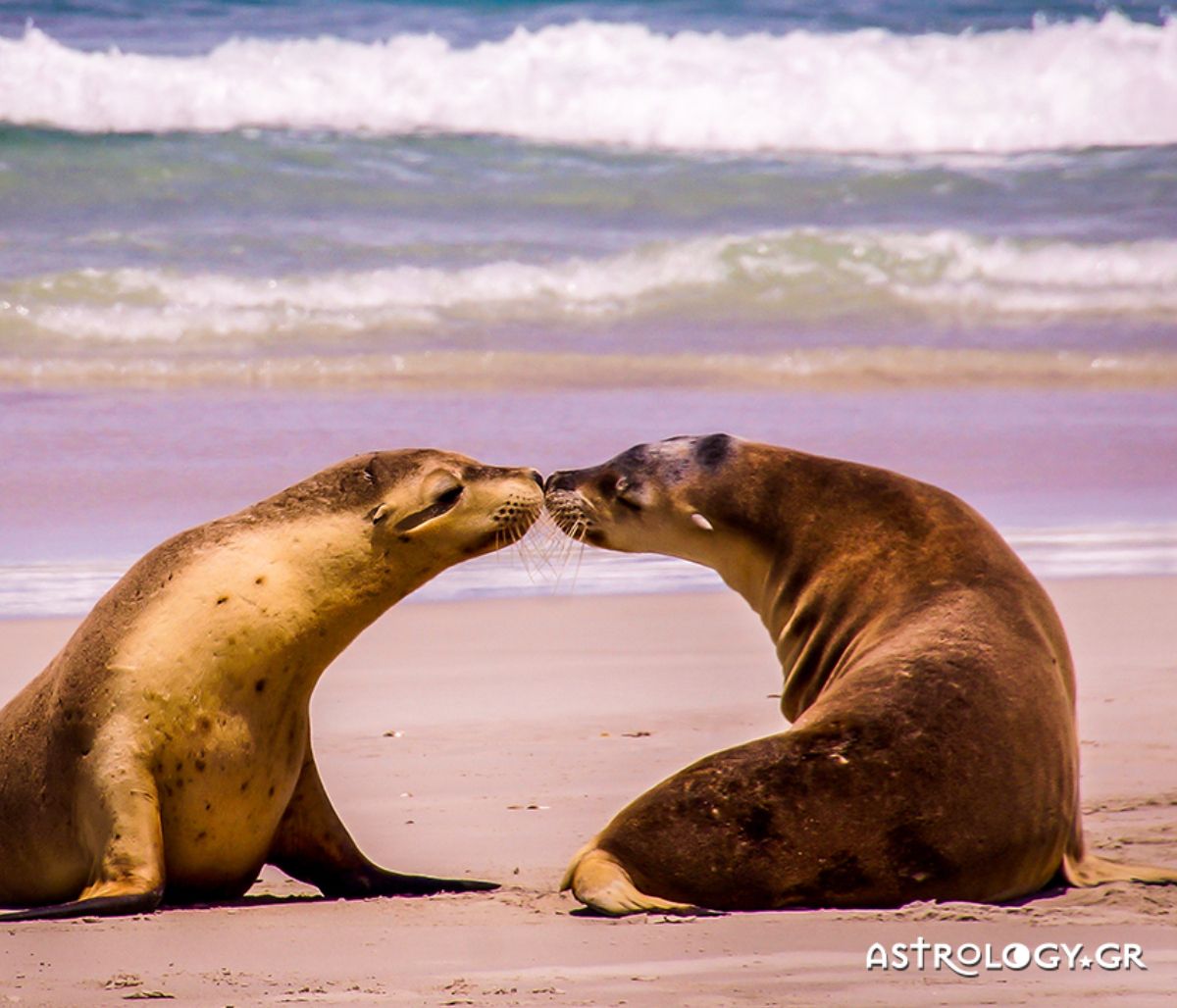 Διάβασε ΔΩΡΕΑΝ την προσωπική σου πρόβλεψη, για σήμερα 16/07/2021