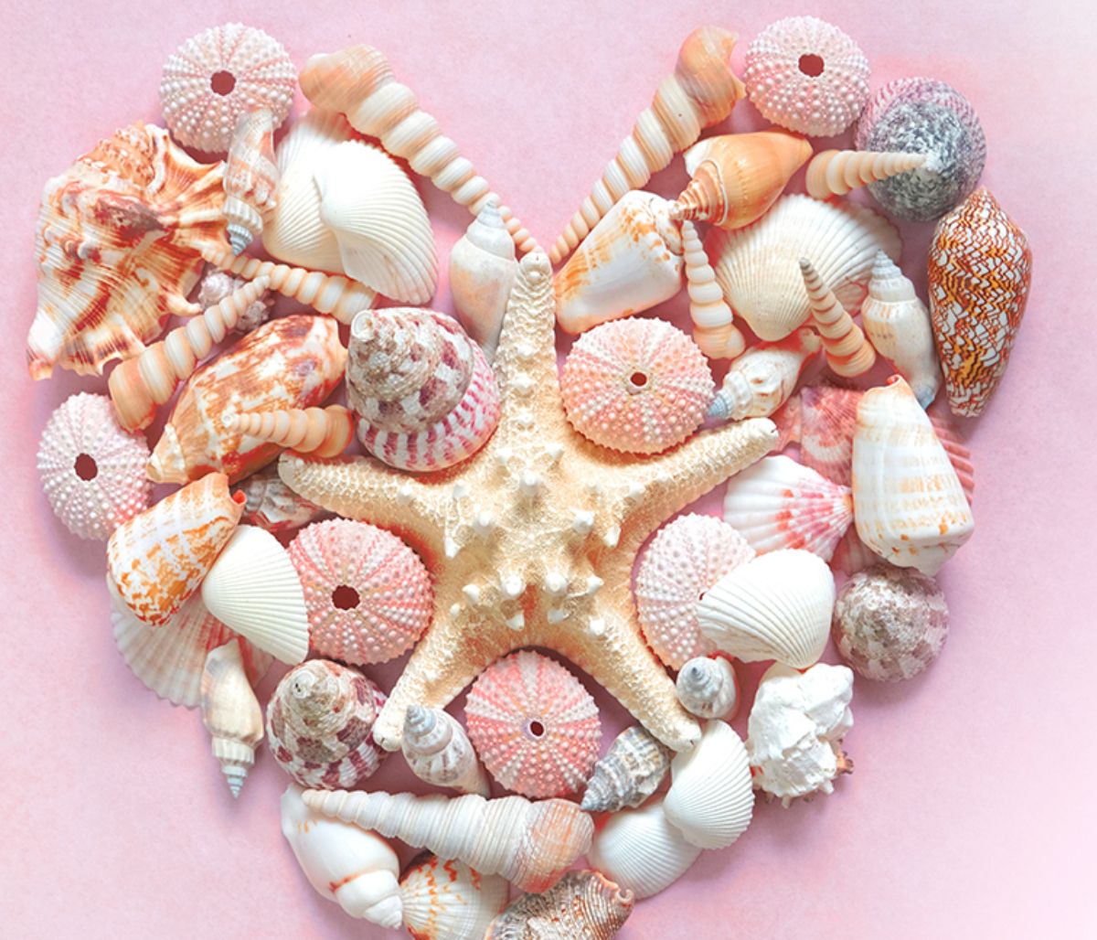 Εβδομαδιαίες Αισθηματικές προβλέψεις 26/07 έως 01/08: Όλα στον αέρα!