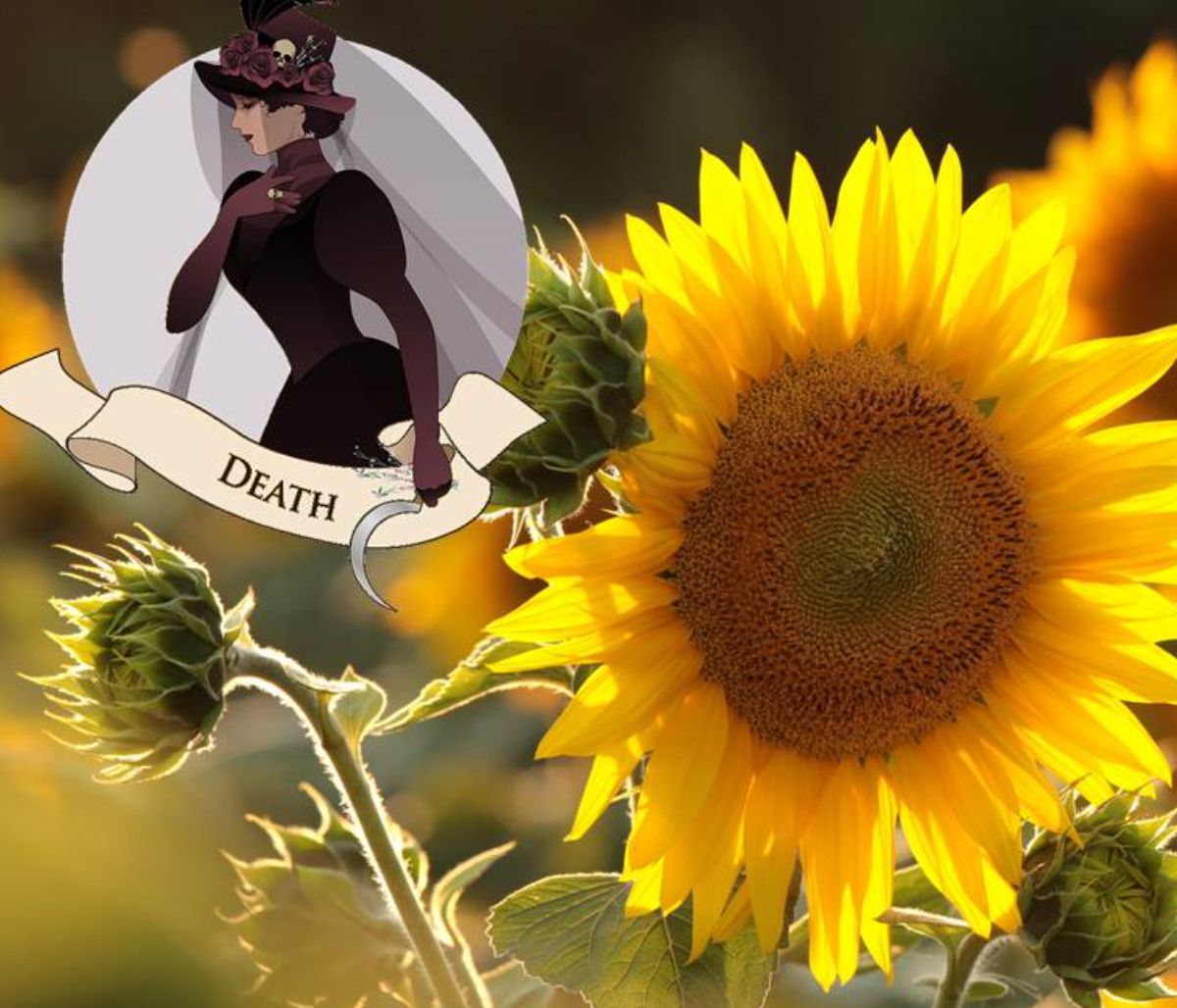 Προβλέψεις Ταρώ Aυγούστου 2021: Το τέλος της ταλαιπωρίας