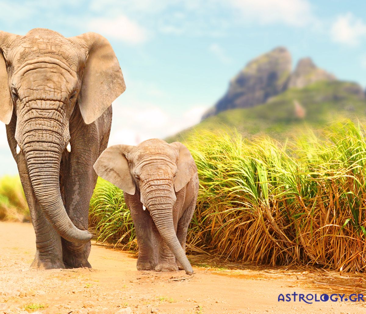 Διάβασε ΔΩΡΕΑΝ την προσωπική σου πρόβλεψη, για σήμερα 28/07/2021