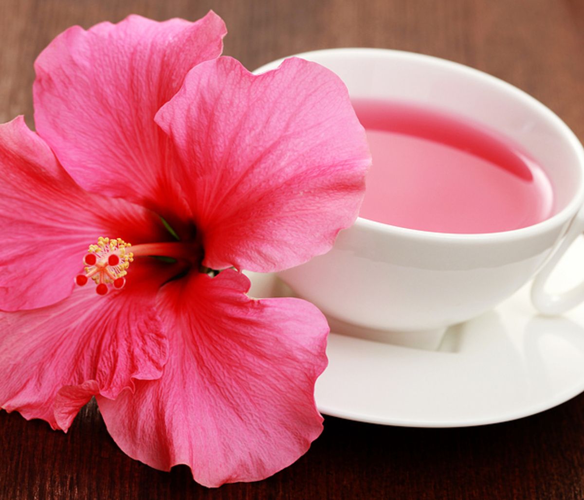 Αφέψημα ιβίσκου: Τα οφέλη του για την υγεία (video)