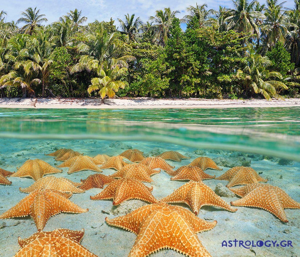 Διάβασε ΔΩΡΕΑΝ την προσωπική σου πρόβλεψη, για σήμερα 30/08/2021