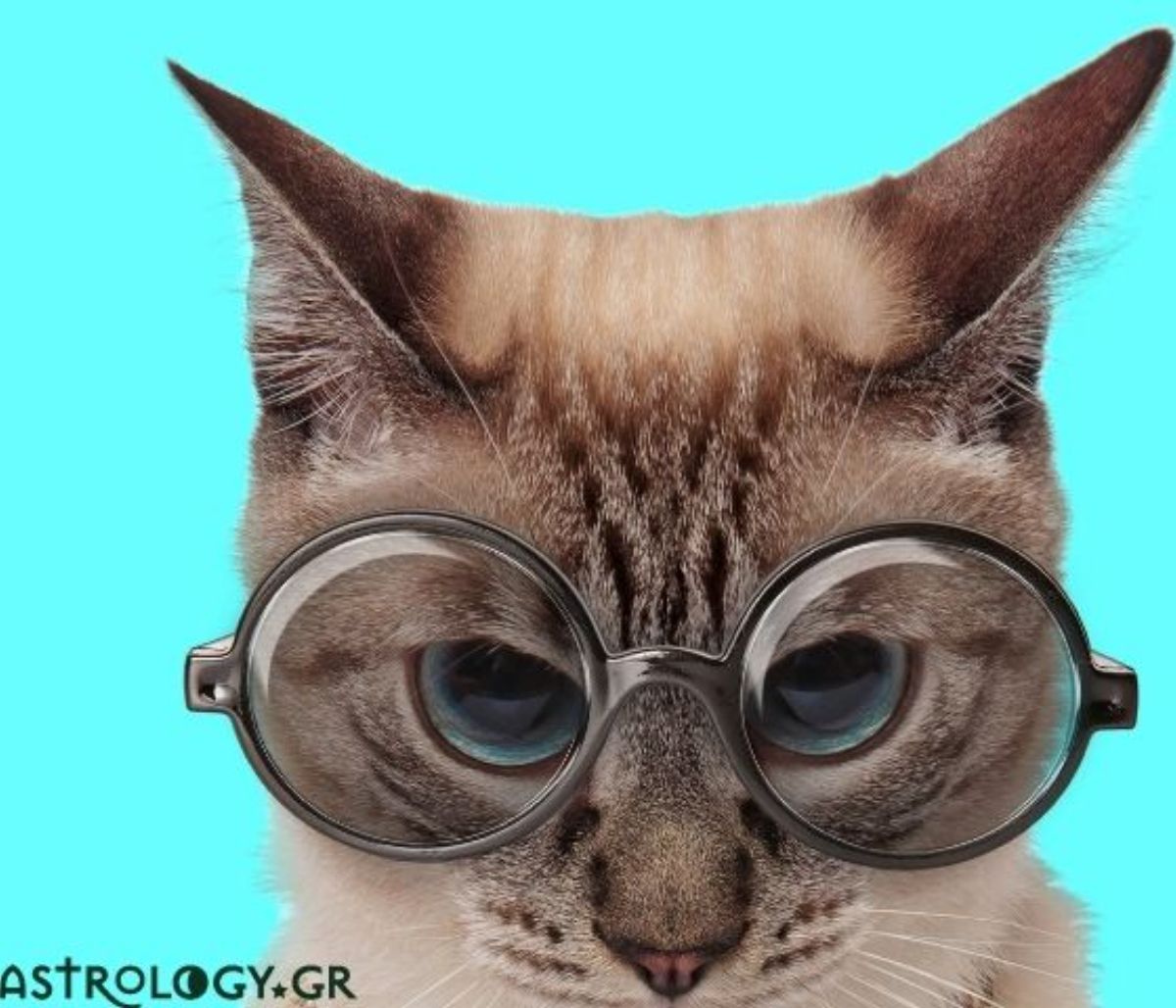 Έτσι θα καταλάβεις ότι ένα ζώδιο τα έχει πάρει μαζί σου!