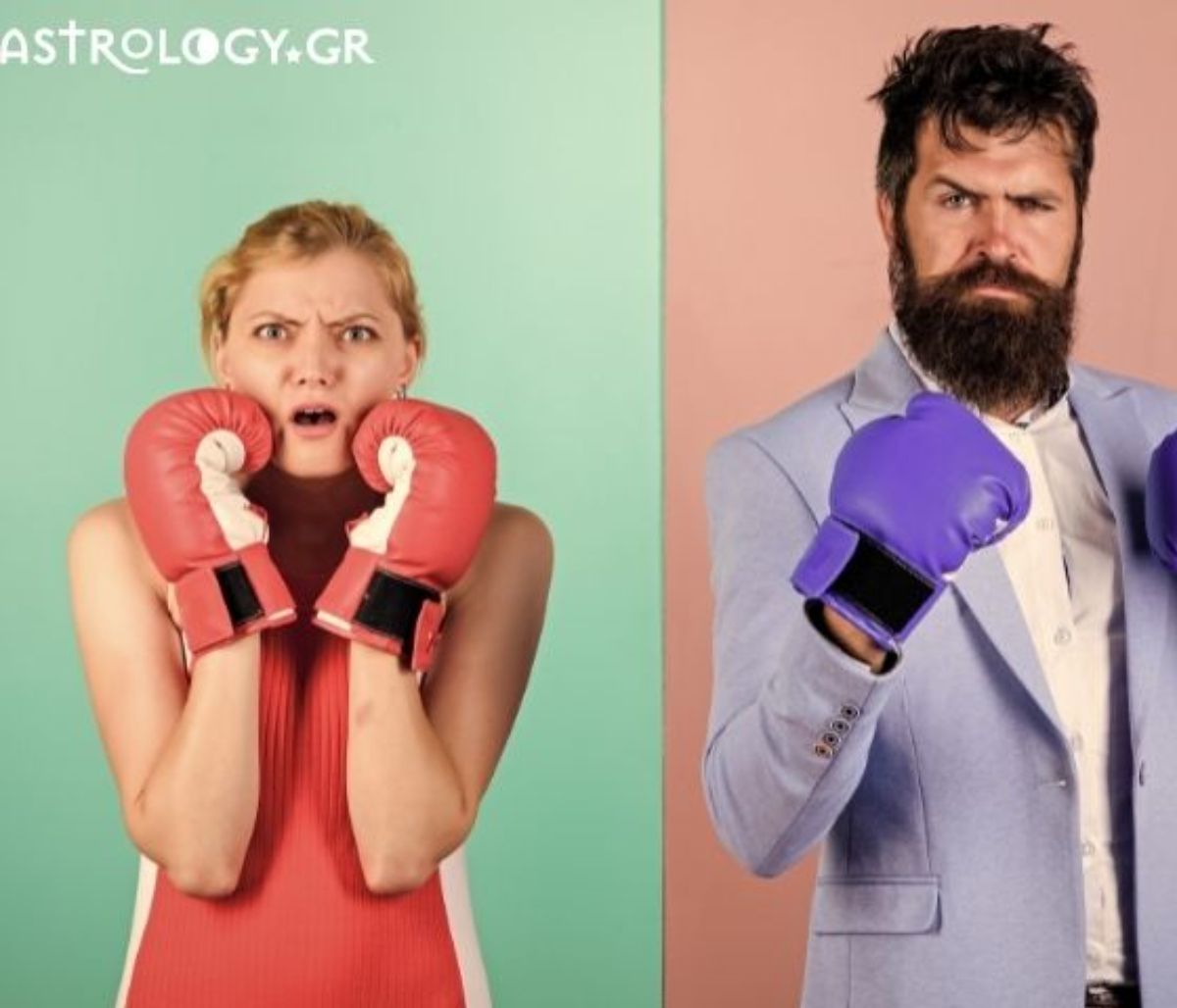 Εσείς ψηφίσατε τα ζώδια που όταν είναι στον ίδιο χώρο «βγάζουν μαχαίρια»