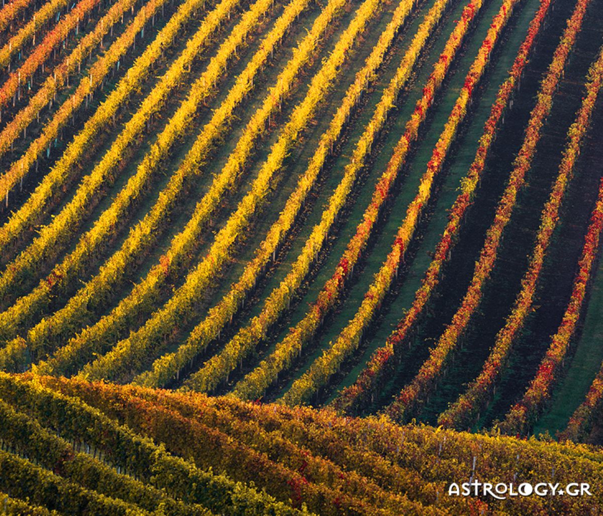 Διάβασε ΔΩΡΕΑΝ την προσωπική σου πρόβλεψη, για σήμερα 04/10/2021