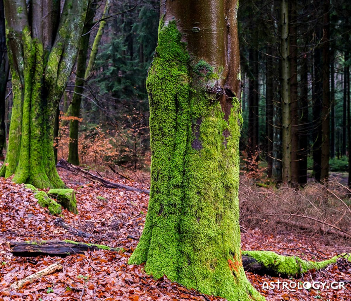 Διάβασε ΔΩΡΕΑΝ την προσωπική σου πρόβλεψη, για σήμερα 23/10/2021