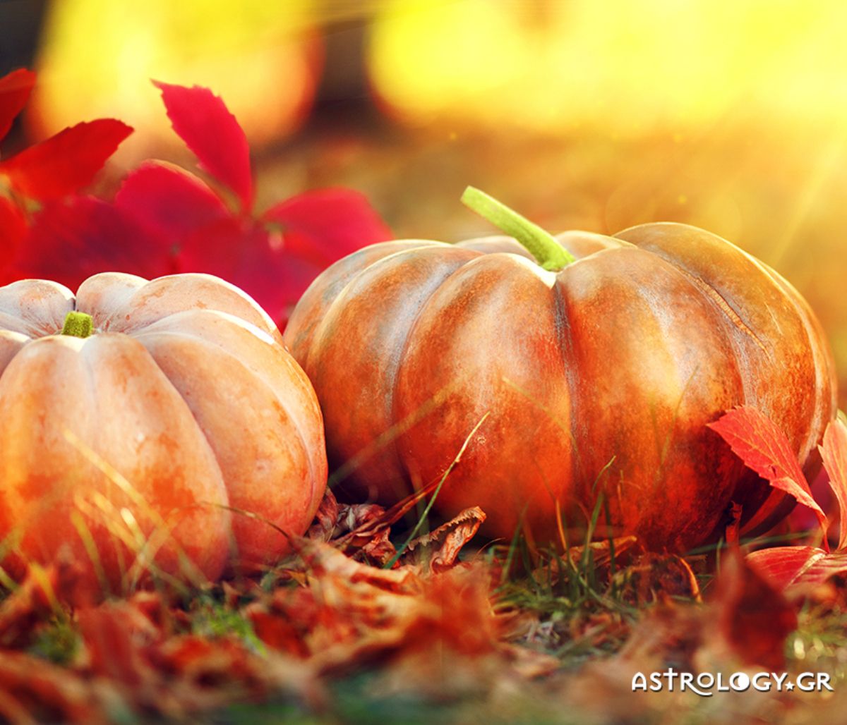 Ημερήσιες Προβλέψεις για όλα τα Ζώδια, 31/10