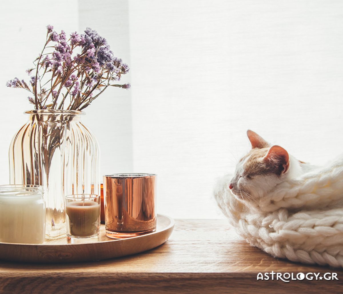 Πώς θα τα πάει το ζώδιό σου σήμερα, 11/11