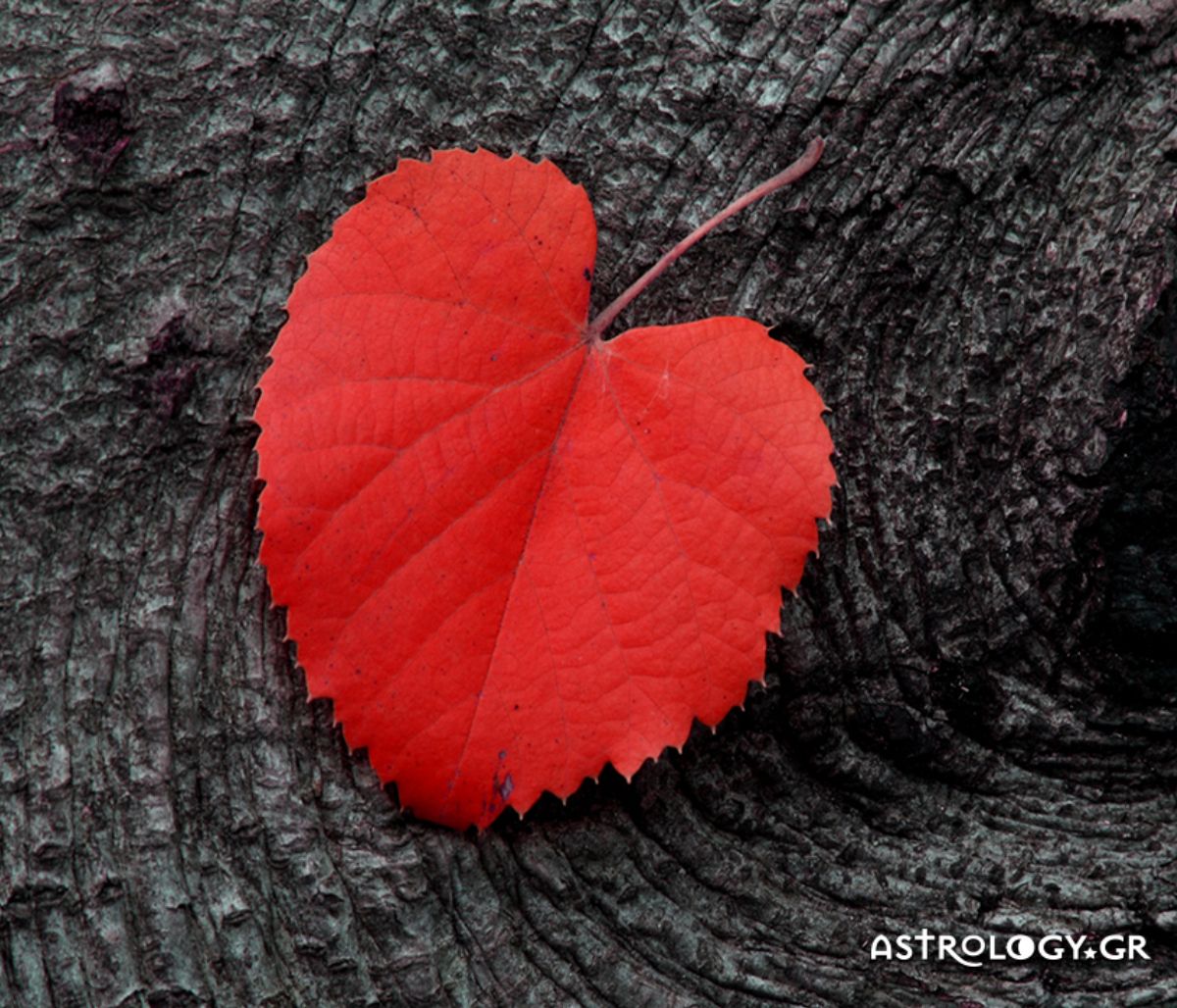 Πώς θα τα πάει το ζώδιό σου σήμερα, 13/11